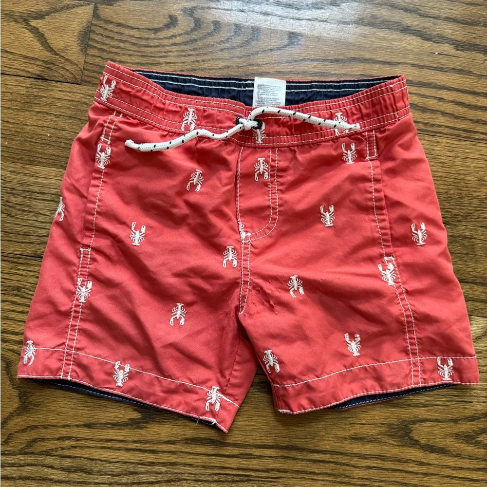 Carter’s Kids Dinosaur & Lobster Lined Swim Trunks Bundle Size 5 Beachwear